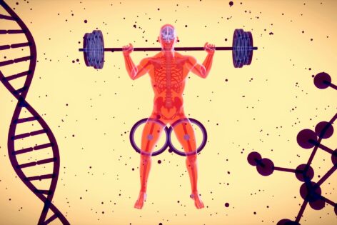 Weightlifting illustration