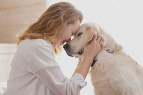 Woman and dog press foreheads together