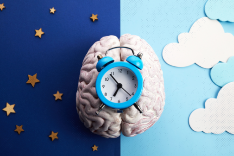 brain with clock on top